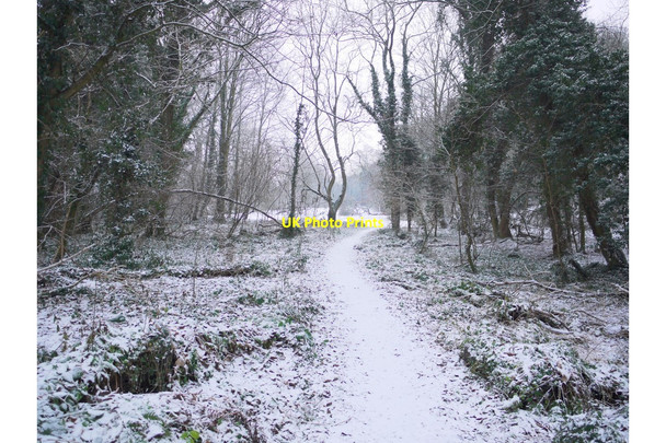 Photo 6"x4" Path to the Curling Pond from Station Bank Ryton\/NZ1564 c2011