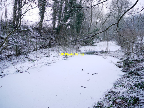 Photo 6"x4" Glebe Pond, Ryton Willows Ryton\/NZ1564 c2011