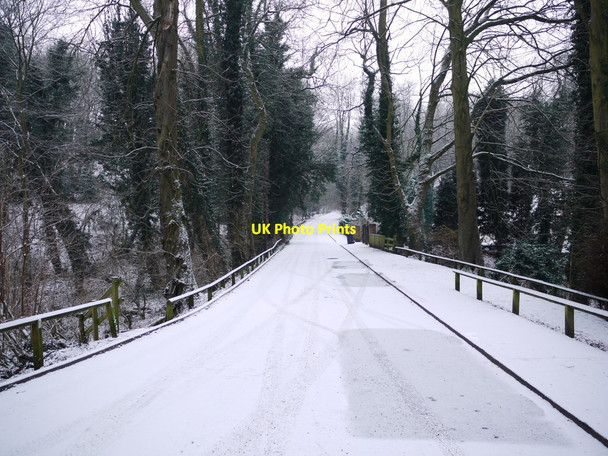 Photo 6"x4" Station Bank, Ryton Ryton\/NZ1564 c2011