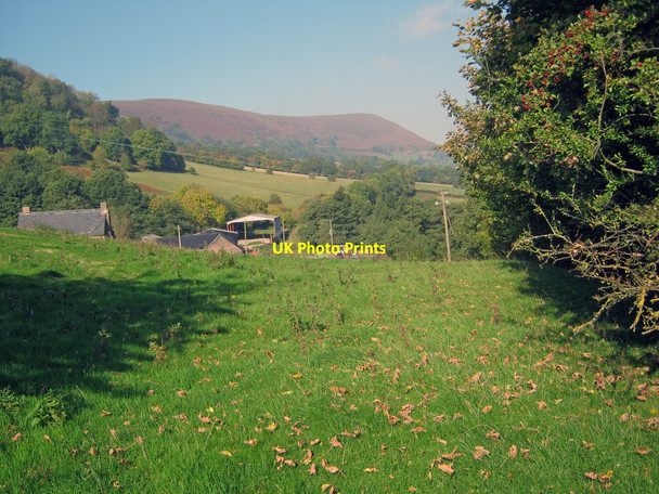 Photo 6"x4" Trewyn Farm Groes-lwyd\/SO3222 c2010