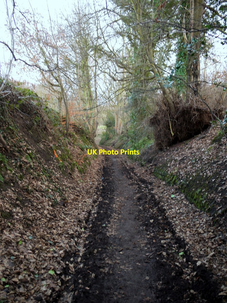 Photo 6"x4" Peth Lane, Ryton Ryton\/NZ1564 c2011