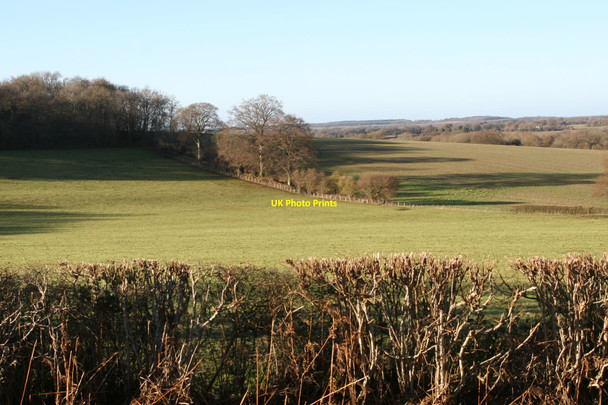 Photo 6"x4" Hayling Wood, Hampshire East End\/SU6424 c2011