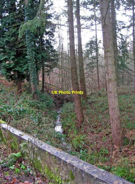 Photo 6"x4" Stream in Eymore Wood Holbeache c2011