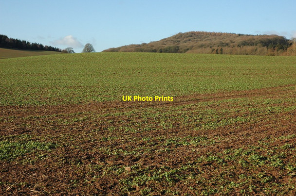 Photo 6"x4" Arable land near Brinsop Tillinton Common c2011