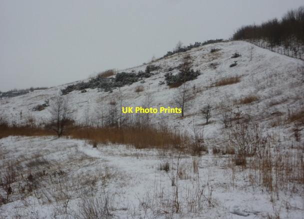 Photo 6"x4" Valley and hillside by the Stockley Trail Bramley Vale c2011