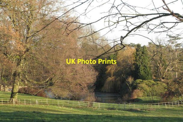 Photo 6"x4" Lake in the grounds of 'Lansdowne' Knowle Grove c2011