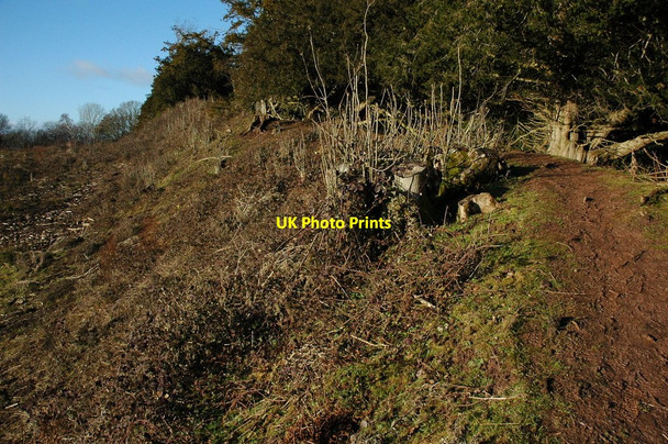 Photo 6"x4" Defensive earthworks, Credenhill Brinsop c2011
