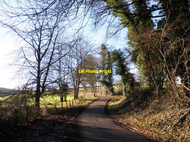 Photo 6"x4" Road to Newcombe Farm Churchtown\/SS9738 c2011
