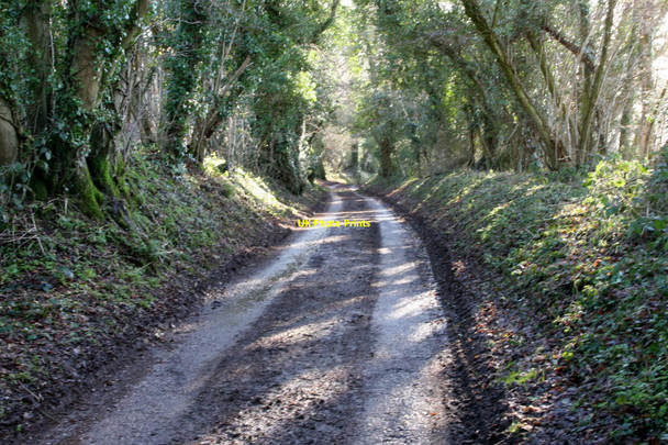 Photo 6"x4" East End, Hampshire East End\/SU6424 c2011