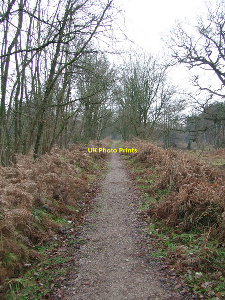 Photo 6"x4" Old Trackbed Stonebridge\/TL9290 c2011