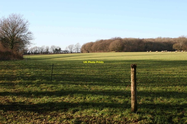 Photo 6"x4" East End, Hampshire East End\/SU6424 c2011