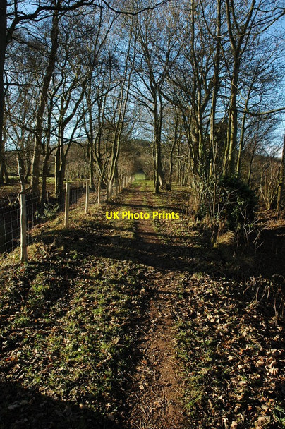 Photo 6"x4" Bridleway at Bishopstone Bishopstone\/SO4143 c2011