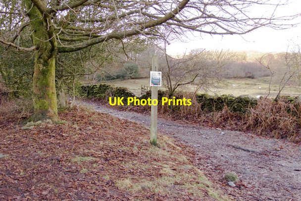 Photo 6"x4" Moor Lane, Satterthwaite Force Forge c2011