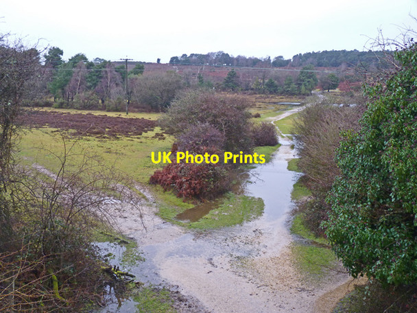 Photo 6"x4" View of Long Slade Bottom Mead End\/SZ2698 c2011