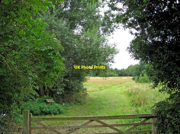 Photo 6"x4" Millmoor Common, Old Woking Woking c2010