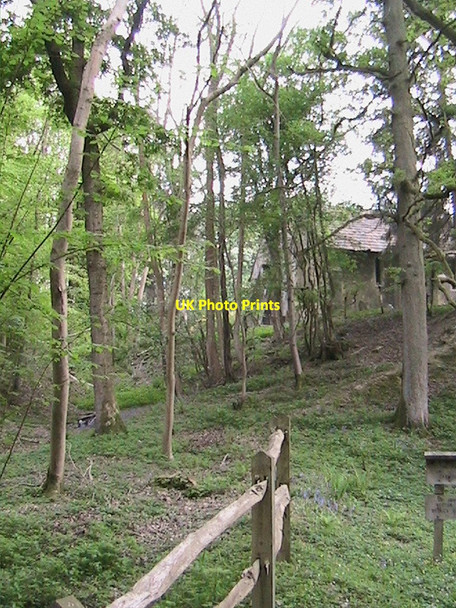 Photo 6"x4" Okewood church, from the valley of the brook Mayes Green c2007 P1