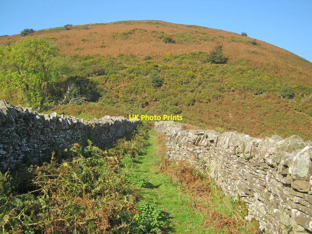 Photo 6"x4" Pathway to Hatterrall Hill. Cwmyoy c2010