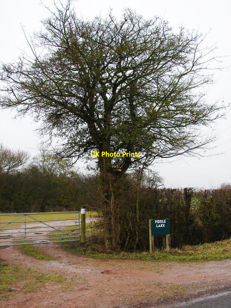 Photo 6"x4" Piddle Lake Naunton Beauchamp c2011