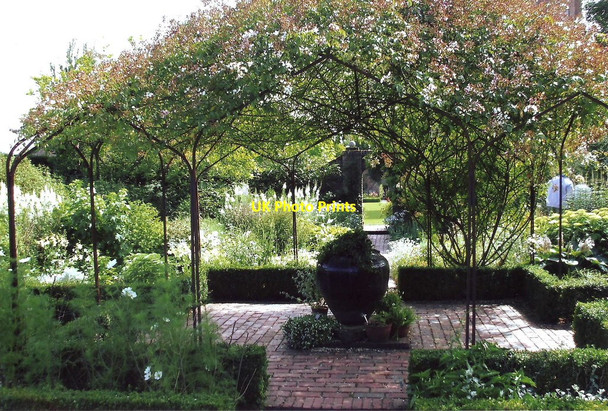 Photo 6"x4" White garden at Sissinghurst Castle Camden Hill c2008