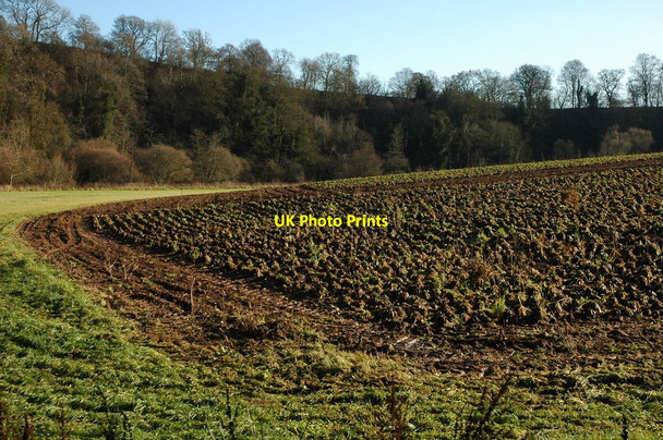Photo 6"x4" Arable land by Playford Bridge Brand Green\/SO7428 c2011