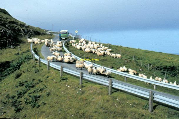 Photo 6"x4" Isle of Skye - 1983 Heribusta c1983