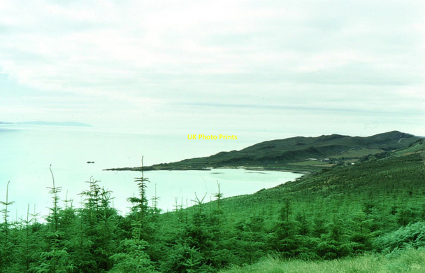 Photo 6"x4" New forestry near Lagg Lagg\/NR5978 c1975