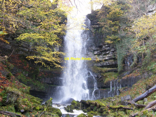 Photo 6"x4" Foss Gill High Wood\/SD9582 c2010