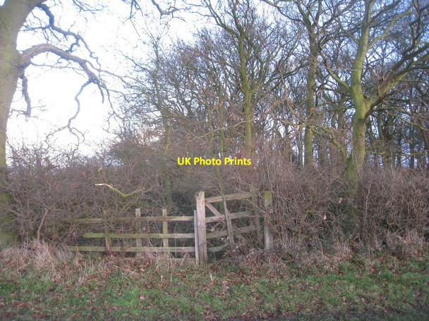 Photo 6"x4" Gate into Woodhouse Gorse Kersall c2011