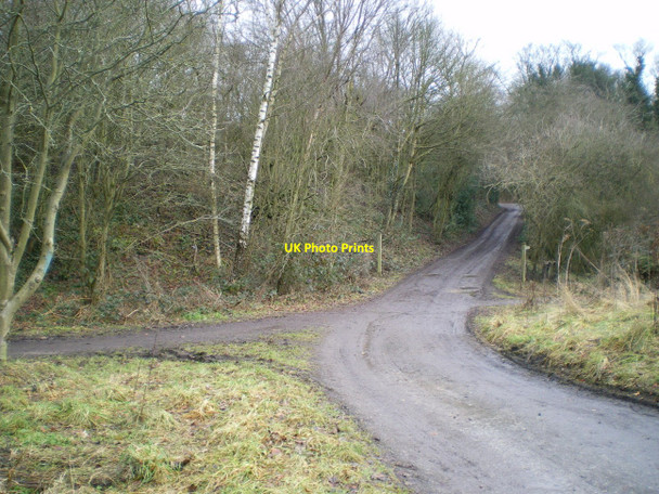 Photo 6"x4" Bridleway and track crossing in Cockshutt woods Telford c2011