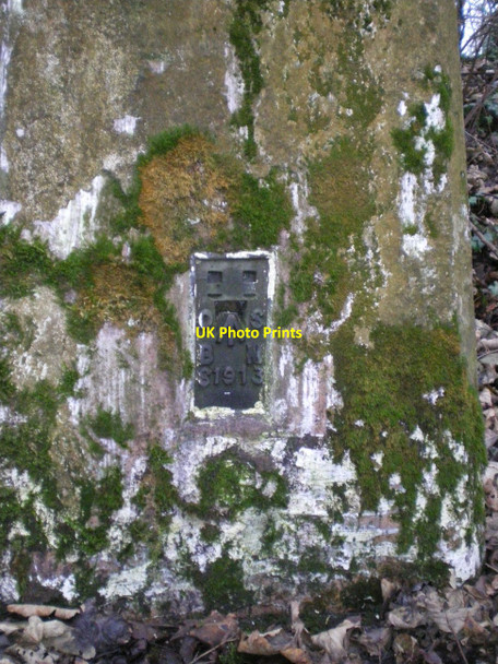 Photo 6"x4" Benchmark bracket on trig point in Cockshutt woods Donnington Wood c2011