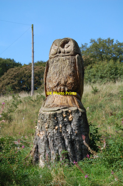 Photo 6"x4" Bredbury and Romiley : Owl Sculpture Romiley c2009
