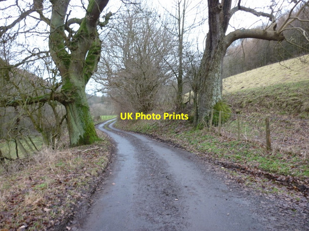 Photo 6"x4" Looking down the road from High Dales near Hackness Hackness\/SE9790 c2011