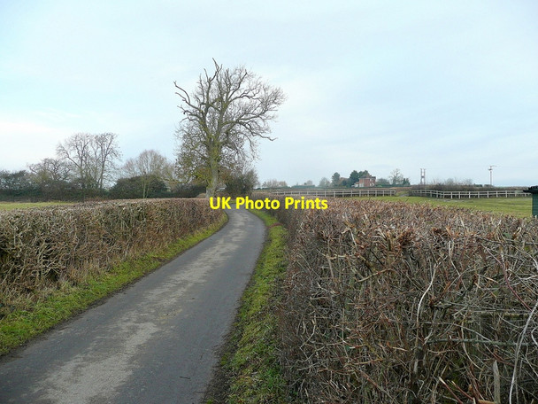 Photo 6"x4" Rodway Lane 2 Longridge End c2011
