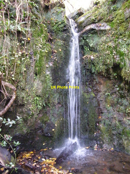 Photo 6"x4" Red Beck Gill Middleham\/SE1287 c2010