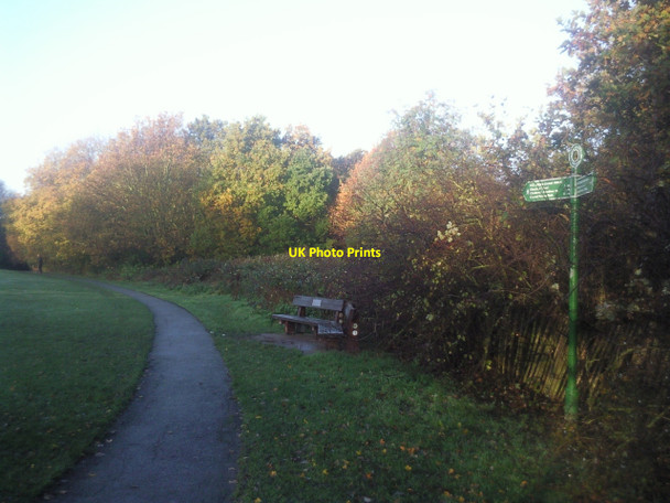 Photo 6"x4" Green Chain sign at Whytes Woodland, Chislehurst Chislehurst West c2010