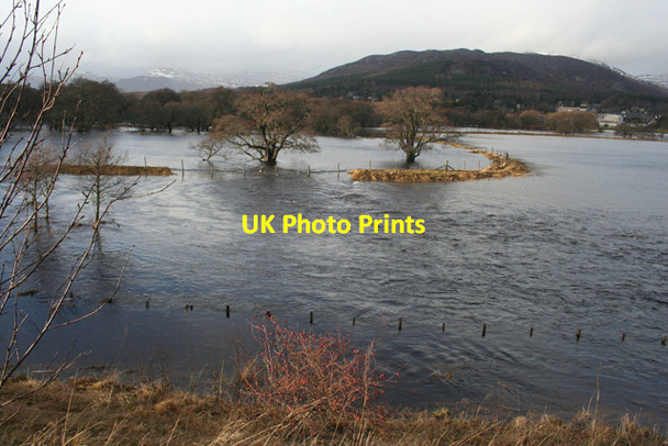 Photo 6"x4" River Spey in Spate Kingussie c2011