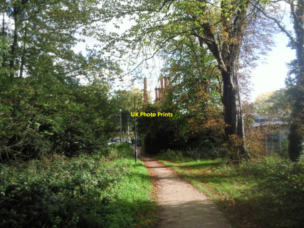 Photo 6"x4" The approach to Barnes station from Barnes Common Barnes c2010