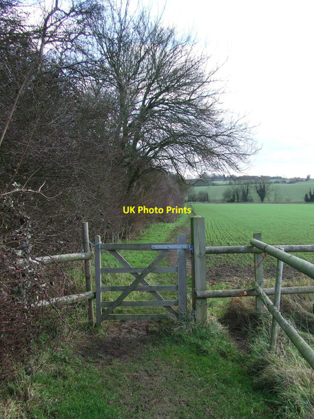 Photo 6"x4" Footpath And Gate Great Finborough c2011