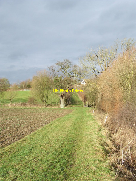Photo 6"x4" Green Footpath High Street Green c2011
