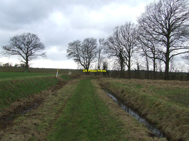 Photo 6"x4" Cagmans Lane High Street Green c2011