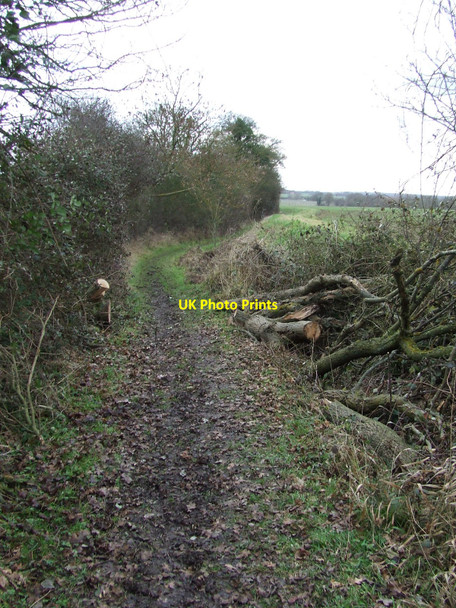 Photo 6"x4" Cleared Footpath High Street Green c2011