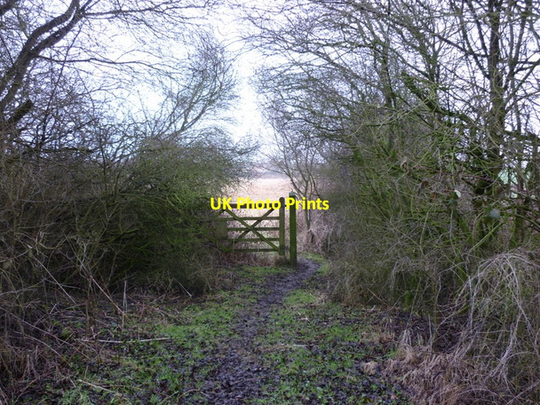 Photo 6"x4" A footpath heading to the A1033 Hollym c2011