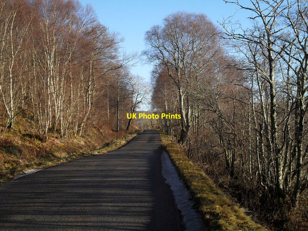Photo 6"x4" On the A837 Achnahanat c2011