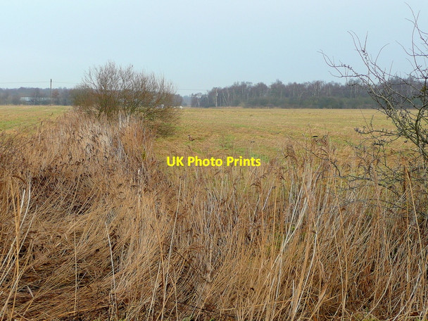 Photo 6"x4" Blyton Carr Wharton\/SK8493 c2011