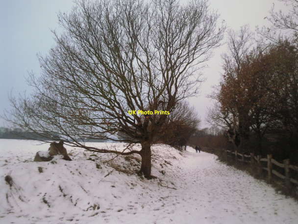 Photo 6"x4" Cobham Park on Christmas Day, 2010 Cobham\/TQ6768 c2010