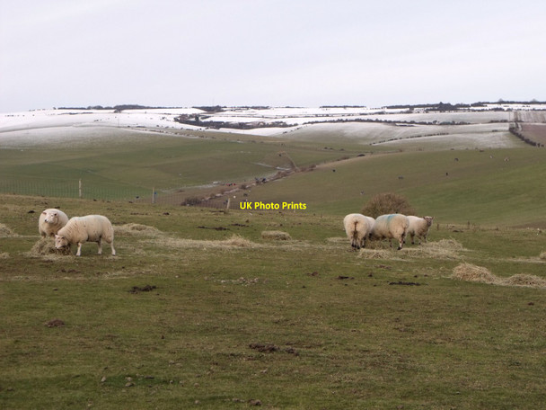 Photo 6"x4" Downland scene north of Portslade Portslade-By-Sea c2010