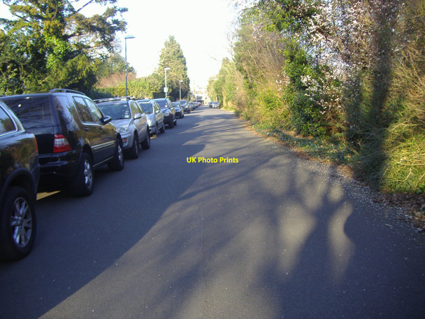 Photo 6"x4" Warboys Road, Coombe Kingston Upon Thames c2008