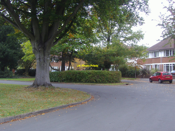 Photo 6"x4" Thistledene, Thames Ditton Surbiton c2008 P1