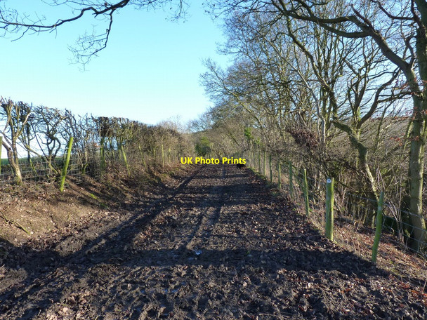 Photo 6"x4" Bridleway into Oaks Wood Habberley\/SJ3903 c2011