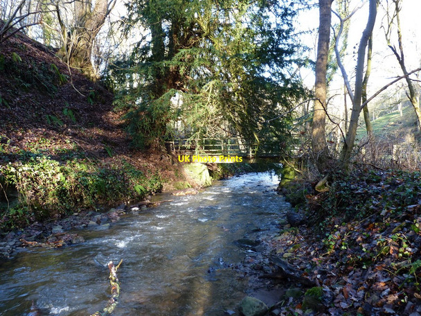Photo 6"x4" Footbridge over the Pontesford Brook Radlith c2011